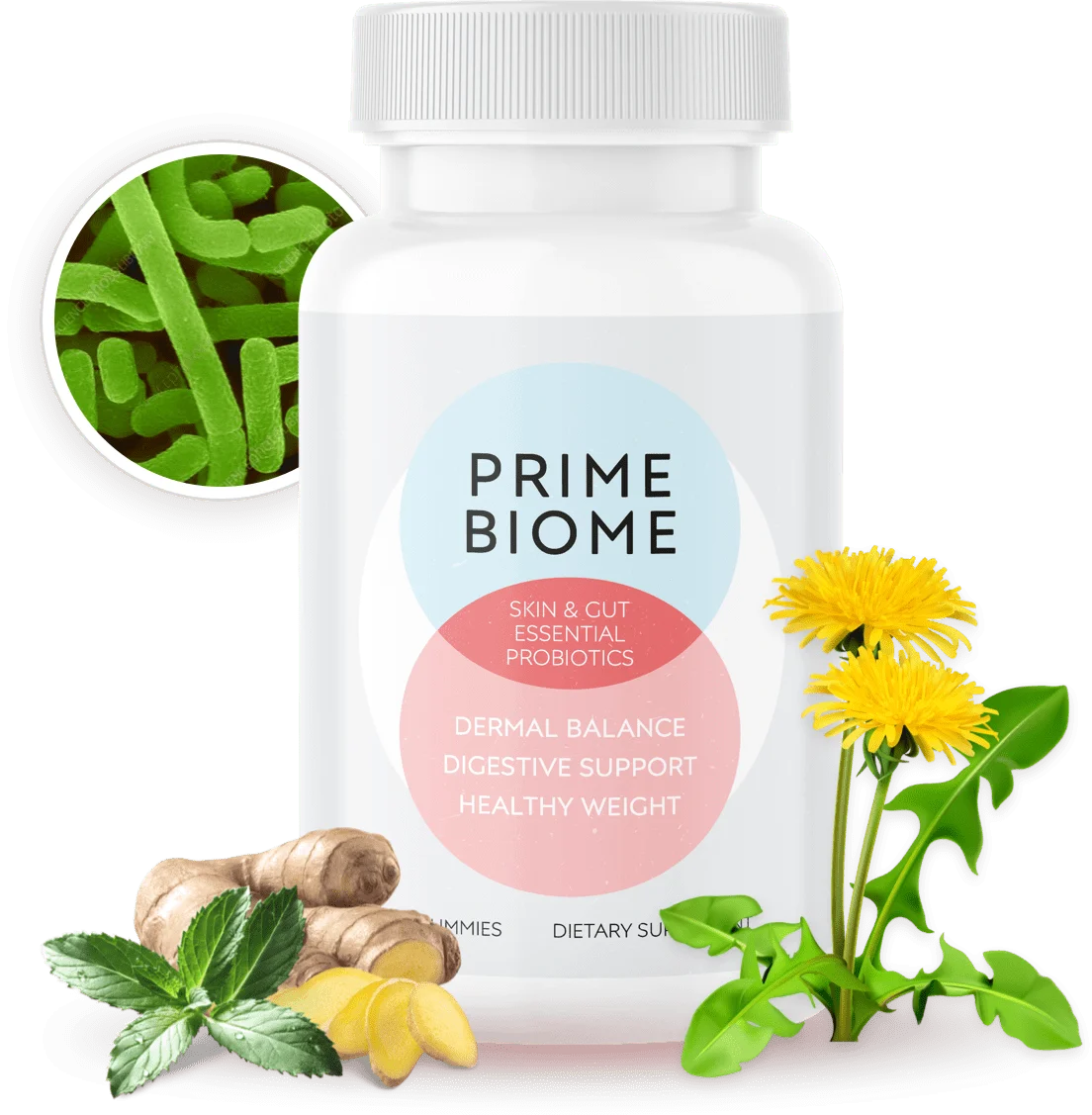 PrimeBiome — Gut & Digestive Health supplement bottle